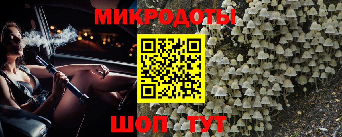 Галлюциногенные грибы Psilocybine cubensis Луга