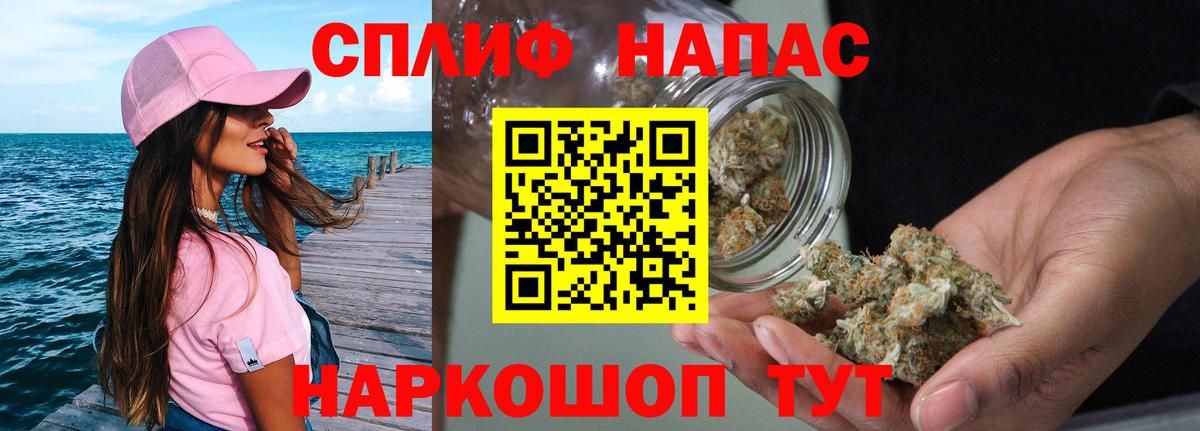 Канабис планчик Луга